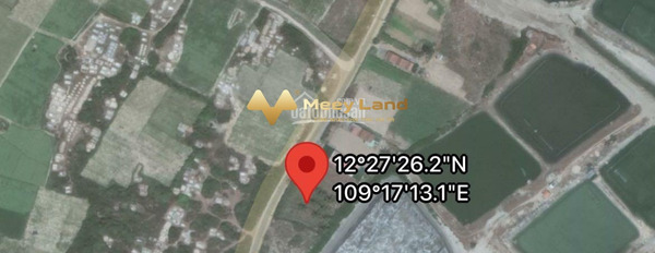 Giá bán thương lượng chỉ 1.8 tỷ, Bán đất dt là 1000 m2 tại Ninh Phước, Khánh Hòa khu vực dân cư-02