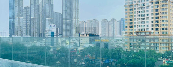 Dự án phức hợp 152 Điện Biên Phủ, bán căn hộ vị trí đẹp tọa lạc ngay ở Bình Thạnh, Hồ Chí Minh có một diện tích là 74m2-02