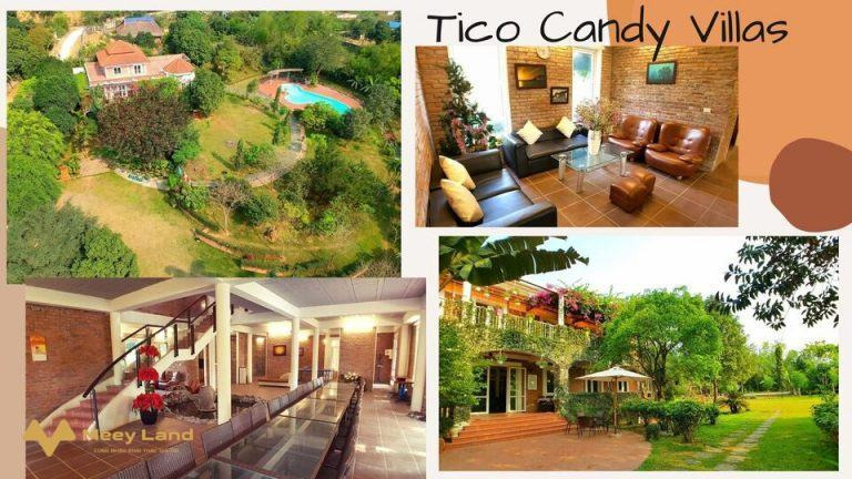 Cho thuê phòng tại Tico Candy Villas – Viên kẹo ngọt ngào