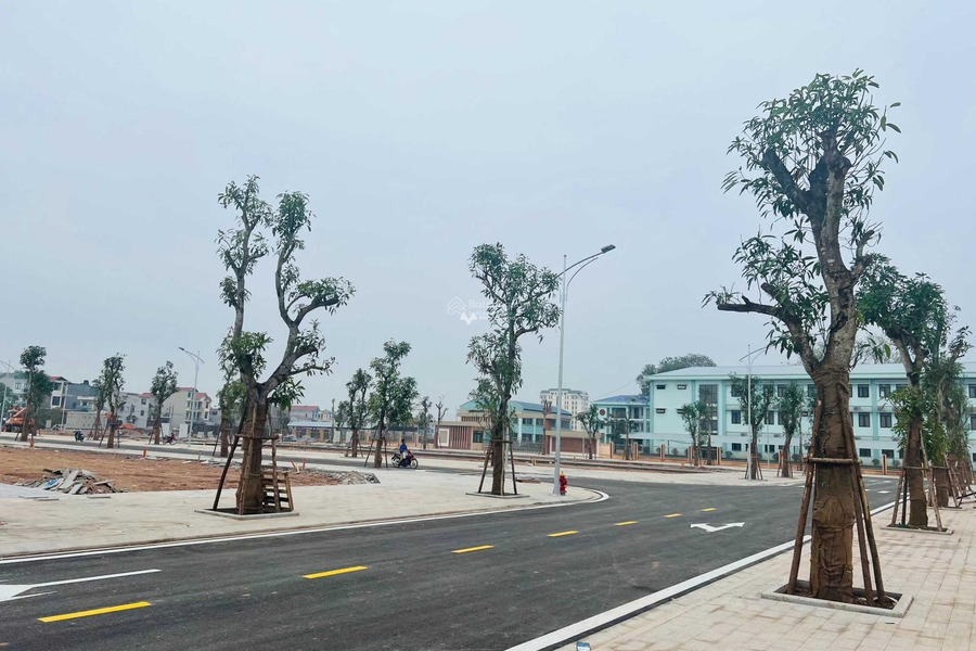 Giá bất ngờ từ 4.2 tỷ bán đất diện tích tổng là 81m2 vị trí thuận lợi gần Tân Tiến, Bắc Giang, hướng Đông Nam-01