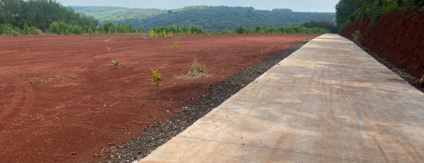 Chính chủ bán 10 lô đất mặt tiền đường DT 753 ở xã Tân Lợi, huyện Đồng Phú, tỉnh Bình Phước-03