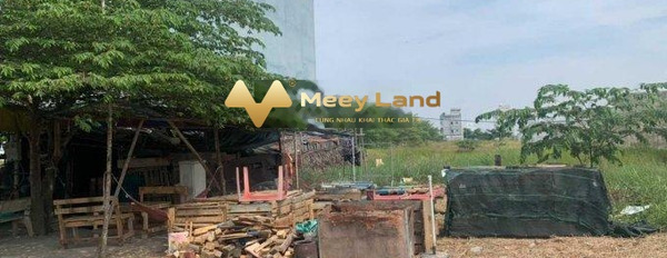 Khoảng 1.2 tỷ bán đất có diện tích chung 80m2 vị trí đẹp ở Trần Văn Giàu, Bình Chánh-03