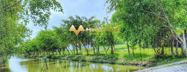 Tại Phú Xuân Vạn Hưng Phú 5.54 tỷ bán đất dt chung 154 m2 tọa lạc tại Đường Huỳnh Tấn Phát, Hồ Chí Minh-03