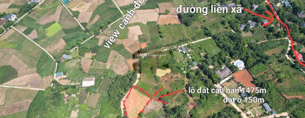 Ba Vì, Hà Nội bán đất giá mềm chỉ 5.5 tỷ Diện tích đất 1475m2-03