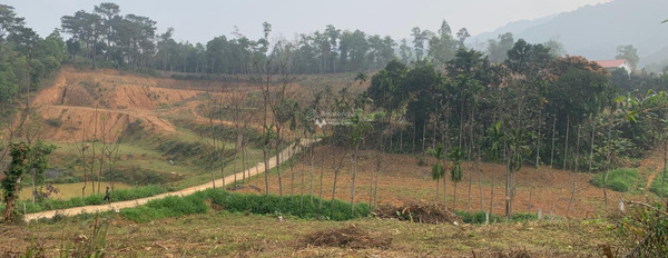 Bán mảnh đất, giá đề cử chỉ 2.42 tỷ, hướng Đông - Bắc diện tích chuẩn là 2200m2-03