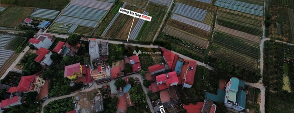 Ở Quang Minh, Hà Nội bán đất 2.48 tỷ, hướng Nam diện tích quy đổi 92m2-03