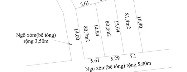 Bán đất diện tích 81,4m2 tại An Lão, Hải Phòng-03
