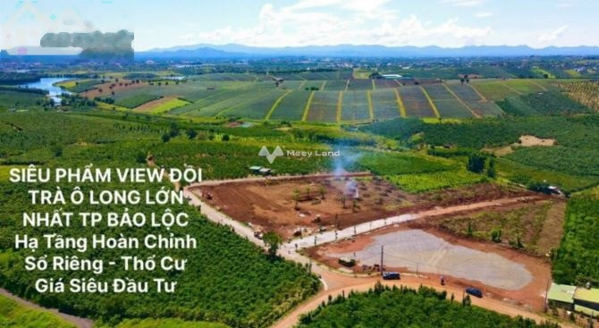 Tọa lạc tại Bảo Lâm, Lâm Đồng bán đất giá hợp lý 1.3 tỷ có diện tích tổng 130m2, đường mặt tiền rộng 11 mét-01