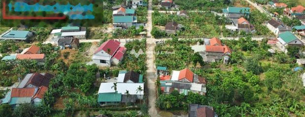 Giá 429 triệu bán đất với diện tích tiêu chuẩn 120m2 vị trí đặt ở trung tâm Hương Trà, Thừa Thiên Huế-03
