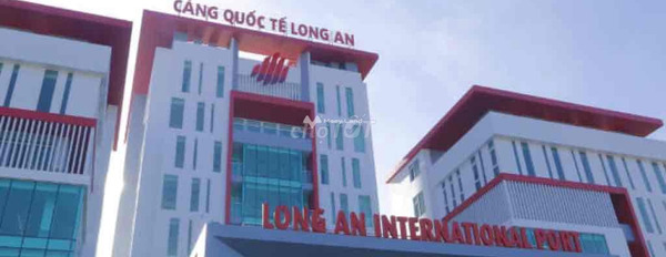 Đông Thạnh, Long An 2.6 tỷ bán đất có diện tích thực là 3500m2-02