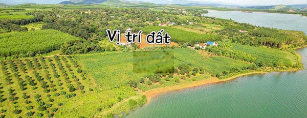 500m đất view hồ Sông Hinh toàn cảnh giá rẻ chỉ 225tr sẵn sổ -03