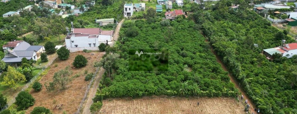 6.9 tỷ bán đất diện tích rộng rãi 904m2 Nằm ngay trên Lam Sơn, Lâm Đồng-03