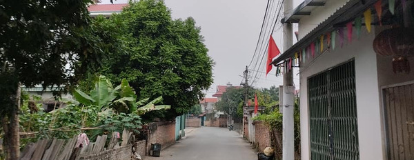 Bán nhà riêng huyện Đông Anh, thành phố Hà Nội giá 2 tỷ-03