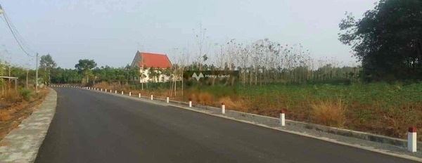 Bán đất 200 triệu Lộc Ninh, Bình Phước với diện tích tiêu chuẩn 1999m2-03