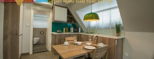 Dt tổng là 45 m2, cho thuê căn hộ giá thuê hấp dẫn từ 15 triệu/tháng vị trí mặt tiền tại Bạch Đằng, Thượng Lý, căn hộ gồm có tất cả 1 PN giá hợp lý-02