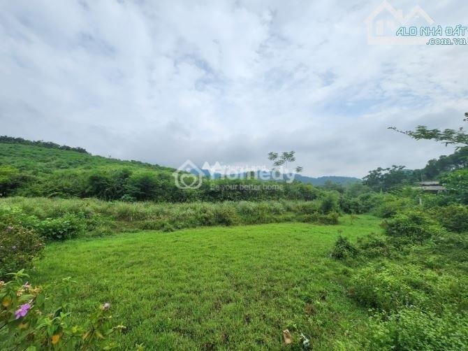 Bán đất Có tổng diện tích 37000m2 vị trí đẹp nằm tại Thạch Thất, Hà Nội-01