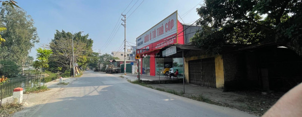 Cần bán kho bãi diện tích 345m2 tại Võ Văn Kiệt, Kim Chung-02