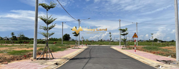 Hàm Thuận Bắc, Bình Thuận bán đất diện tích như sau 100 m2-02