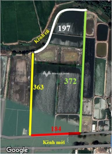 Vị trí thuận lợi tại Phú Thành B, Tam Nông bán đất, giá mềm từ 8.76 tỷ, hướng Đông - Nam diện tích quy đổi 73000m2-01