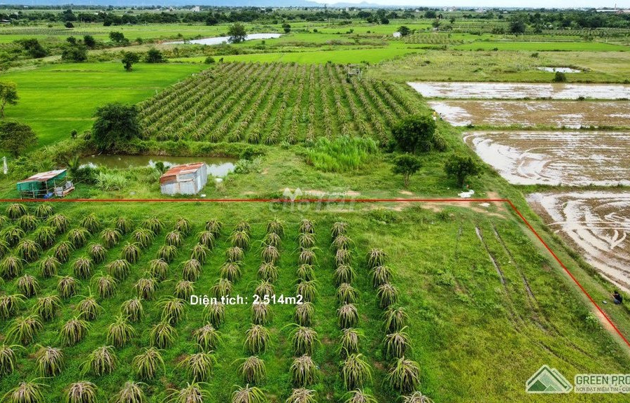Hải Ninh, Bình Thuận bán đất giá bán tốt bất ngờ chỉ 566 triệu, hướng Tây có diện tích khoảng 2500m2-01