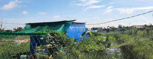 Mức giá 2 triệu/tháng cho thuê đất diện tích khoảng 1500m2 mặt tiền nằm tại Đoàn Nguyễn Tuân, Bình Chánh-03