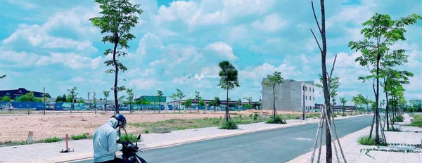 Bán đất tại Đường 767, Trảng Bom, diện tích 100m2-03