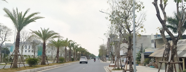 Khu đô thị Việt Hưng - Long Biên. Phân lô vip đường ô tô, vỉa hè 2 chiều – hàng xóm Vinhomes-02