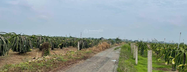 Bán 2 mẫu đất Tân Hải, thị xã LaGi giá ngộp 300tr/ sào, đường bao quanh -03