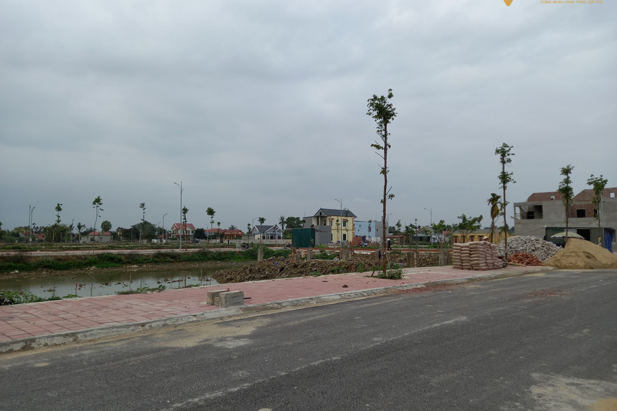 Bán đất nền phân lô trên mặt bằng quy hoạch tại Đông Sơn, Thanh Hóa, 104,5m2, mặt tiền 5,5m, giá 1,15 tỷ-01