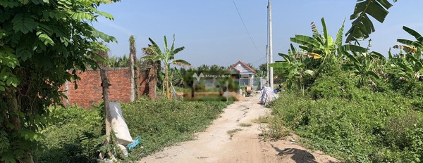 Giá bán hấp dẫn 430 triệu bán đất diện tích quy ước 70m2 mặt tiền tọa lạc ở Trần Thị Thơm, Mỹ Tho-03