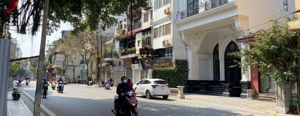 Nhà 1 PN bán nhà ở có diện tích chung là 110m2 bán ngay với giá từ 39.9 tỷ vị trí thuận lợi gần Nguyễn Trung Trực, Ba Đình-03