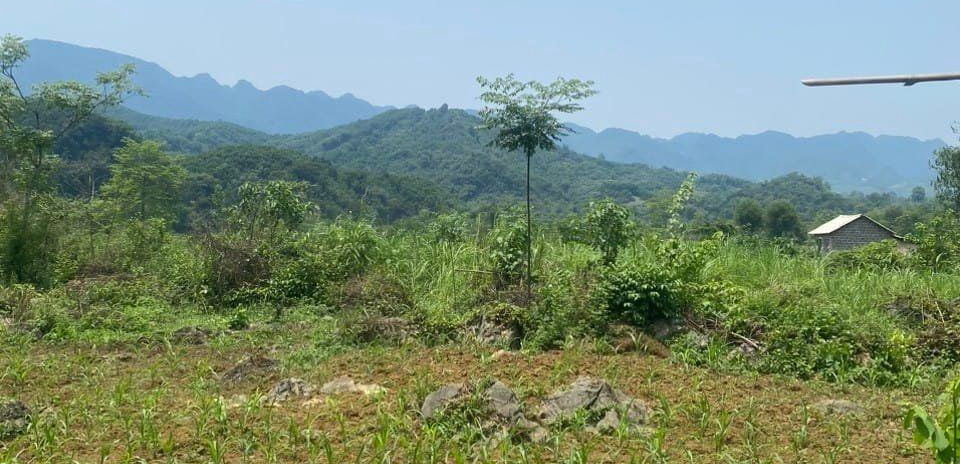 Mua bán đất huyện Tân Lạc tỉnh Hòa Bình giá 460 triệu