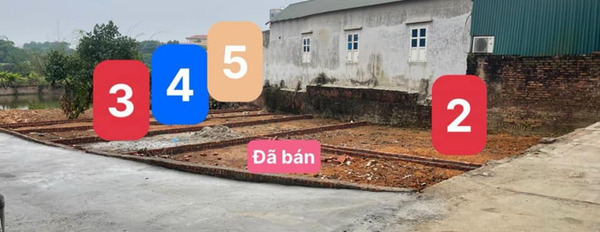 Cần bán đất huyện Sóc Sơn thành phố Hà Nội giá 1.2 tỷ-03