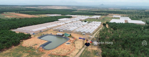 Hòa Thắng, Bình Thuận bán đất giá đề xuất từ 500 triệu có diện tích là 10000m2-02
