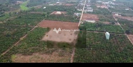 Bán đất 290 triệu Pleiku, Gia Lai diện tích mặt tiền 130m2-03