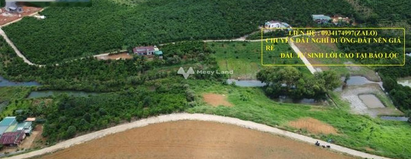 Ở Hùng Vương, Bảo Lâm bán đất 750 triệu diện tích khoảng là 160m2-03