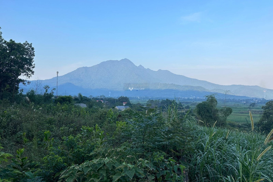 Lô đất có 102 tại Yên Bài, Ba Vì diện tích 868m2, view cao nhìn cả thế giới. Giá rẻ nhất khu vực vị trí trung tâm-01