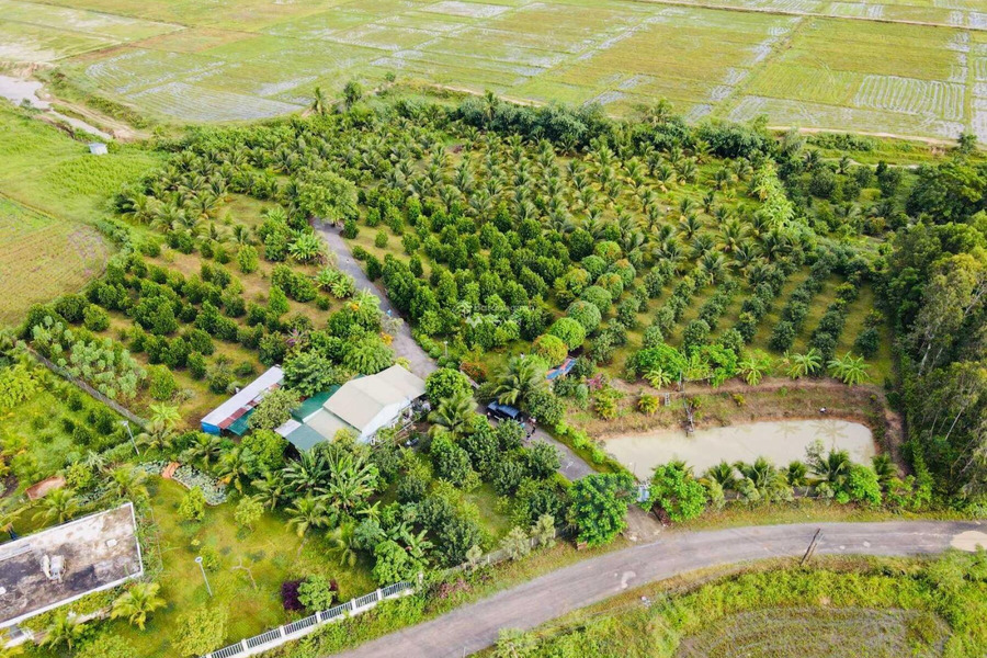 Cần bán nhà vườn rất đẹp tại xã Ninh Hưng, gần QL1A, chỉ cách tp. Nha Trang 30phút đi xe, giá 8.9tỷ khu vực đông đúc-01