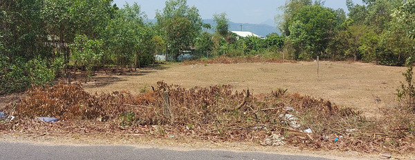 Bán đất mặt tiền đường Tỉnh Lộ 8, tuyến đường huyết mạch kết nối Nha Trang, Ninh Hòa, Đắk Lắk-03