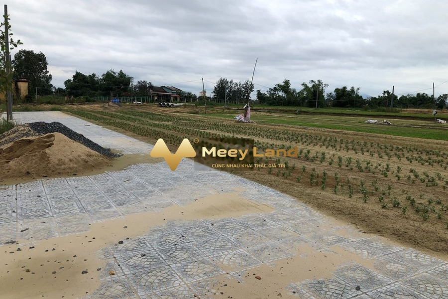 Đường Võ Như Hưng, Tỉnh Quảng Nam 1.5 tỷ bán đất có diện tích 100m2-01