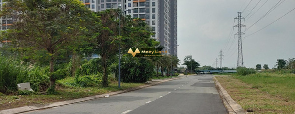 Ở Huyện Bình Chánh, Hồ Chí Minh bán đất 4.5 tỷ, hướng Tây với dt tiêu chuẩn 90m2-02