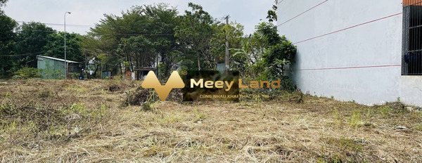 Bán đất có diện tích 100m2, Nguyễn Lương Bằng, Quận 7-03