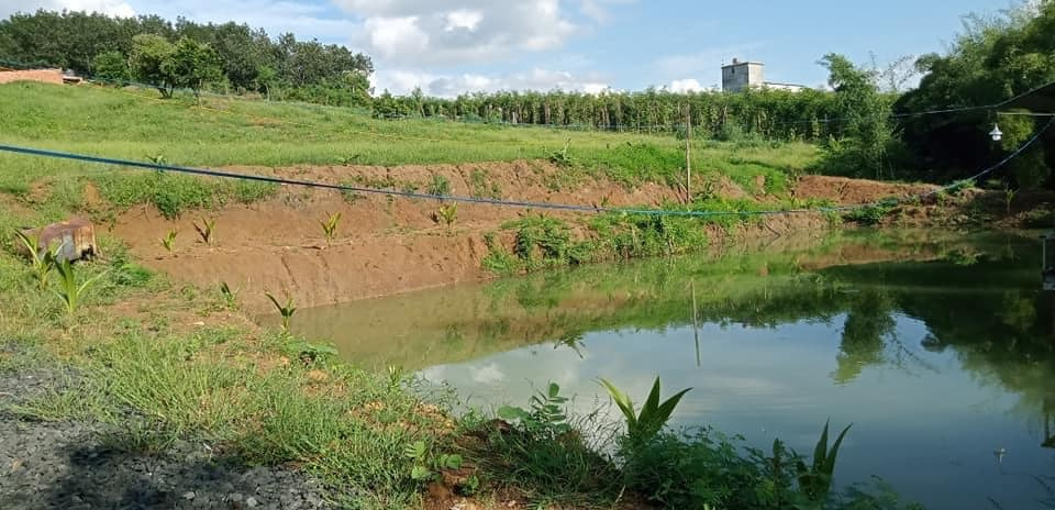 Cần bán lô đất xào 4600m2 chính chủ tại Bình Phước