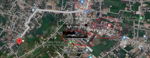 Vị trí thuận lợi tọa lạc ngay trên Tân Tây, Tiền Giang bán đất, giá bán cực tốt từ 2.2 tỷ diện tích vừa phải 5600m2-03