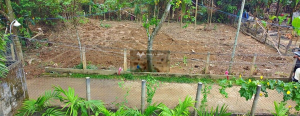 Vị trí nằm trên Đại Hồng, Quảng Nam bán đất, giá bán vô cùng rẻ chỉ 299 triệu với diện tích khoảng 82m2-02