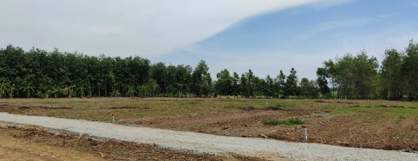 Bán lô đất vuông vức giáp rạch ngay tại Tây Ninh, thuận tiện cho trồng trọt chăn nuôi-03