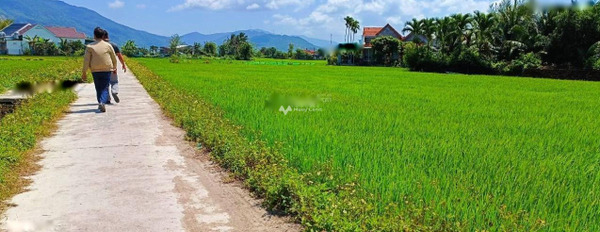 Giá siêu rẻ 1.95 tỷ bán đất diện tích rất rộng 1800m2 vị trí thuận lợi tọa lạc ở Ninh Giang, Khánh Hòa, hướng Đông Bắc-03