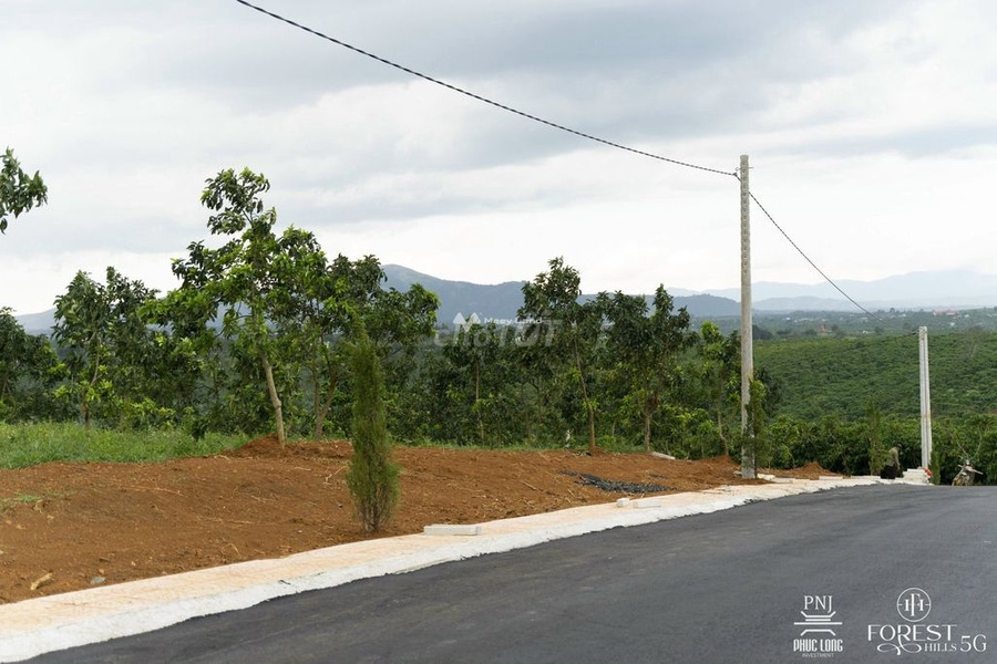 Mặt tiền nằm ngay trên Lộc Đức, Lâm Đồng bán đất giá bán siêu ưu đãi từ 550 triệu diện tích tổng 100m2-01