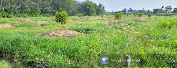Cần ra đi gấp bán mảnh đất, 300m2 giá bán chốt nhanh từ 570 triệu ngay tại Gia Lộc, Tây Ninh vị trí đắc địa-03