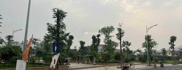Lương Sơn, Hòa Bình 2.7 tỷ bán đất với diện tích là 88m2-03